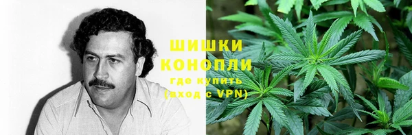 амф Россошь